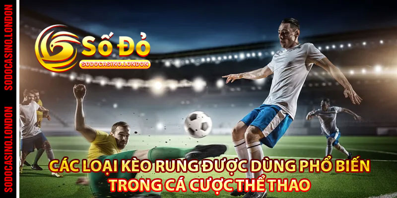 Các loại kèo rung được dùng phổ biến trong cá cược thể thao 