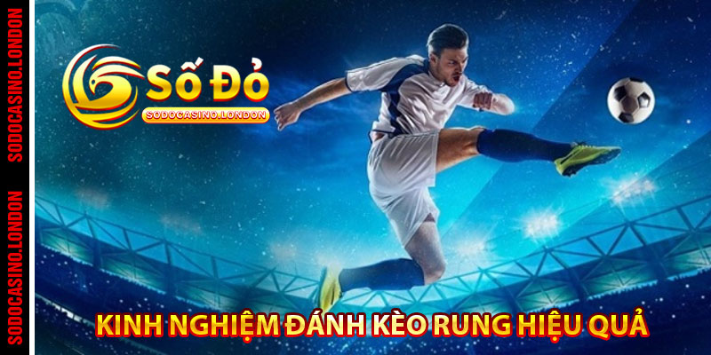 Kinh nghiệm đánh kèo rung hiệu quả 
