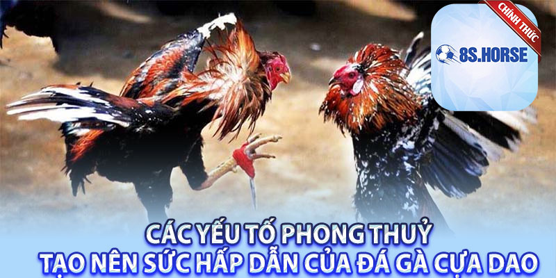 Các yếu tố phong thuỷ tạo nên sức hấp dẫn của đá gà cựa dao